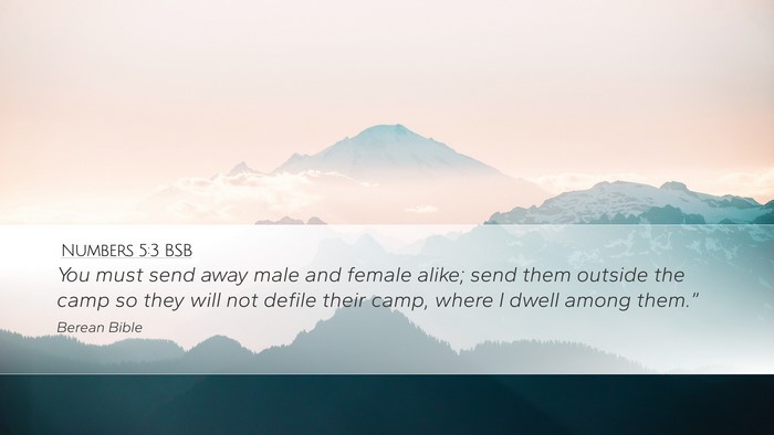 Numbers 5:3 BSB Bible Verse Image
