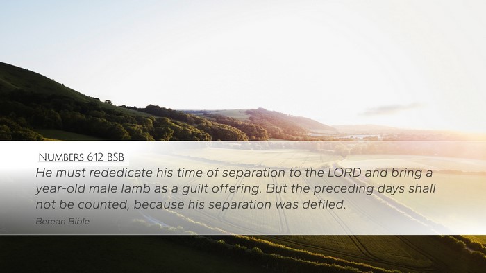 Numbers 6:12 BSB Bible Verse Image