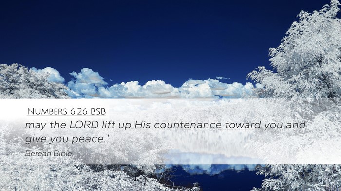 Numbers 6:26 BSB Bible Verse Image