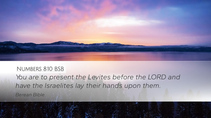 Numbers 8:10 BSB Bible Verse Image