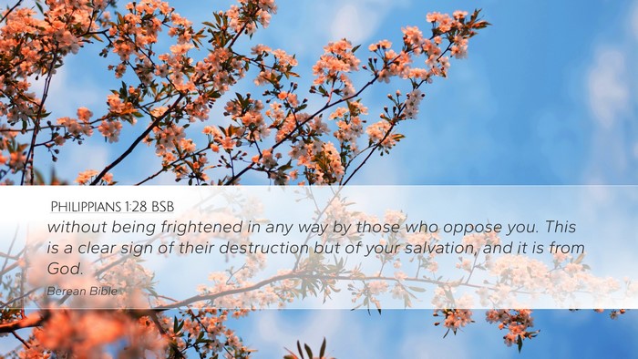 Philippians 1:28 BSB Bible Verse Image