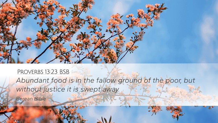 Proverbs 13:23 BSB Bible Verse Image