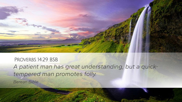Proverbs 14:29 BSB Bible Verse Image