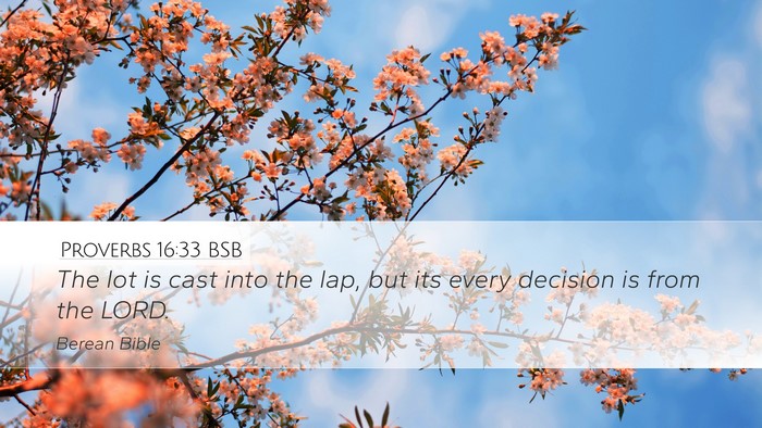 Proverbs 16:33 BSB Bible Verse Image
