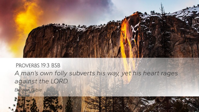Proverbs 19:3 BSB Desktop Wallpaper - A man’s own folly subverts his way, yet his - Desktop Bible Verse Wallpaper