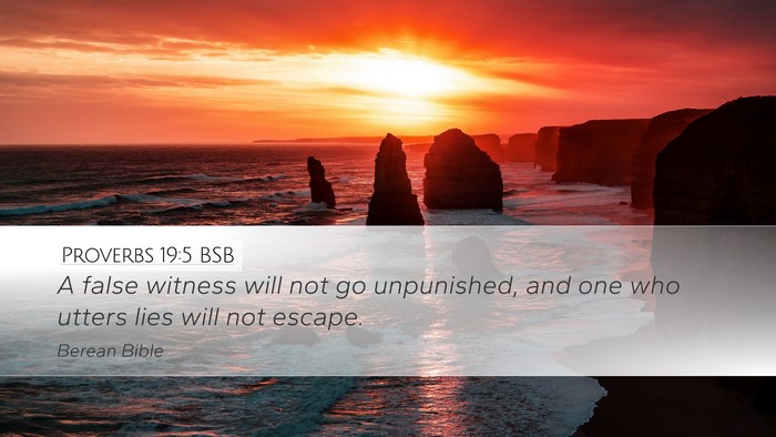 Proverbs 19:5 BSB Bible Verse Image