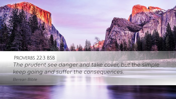 Proverbs 22:3 BSB Bible Verse Image