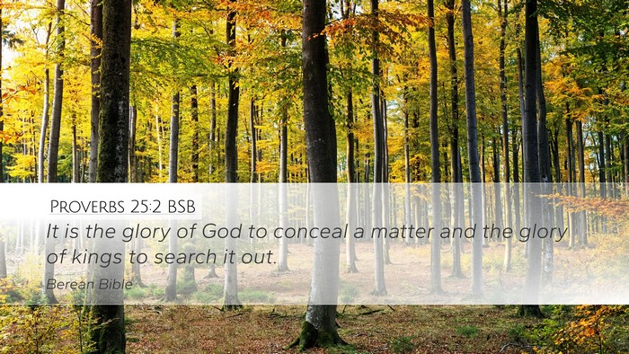 Proverbs 25:2 BSB Bible Verse Image