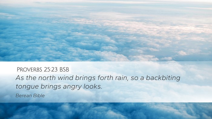 Proverbs 25:23 BSB Bible Verse Image