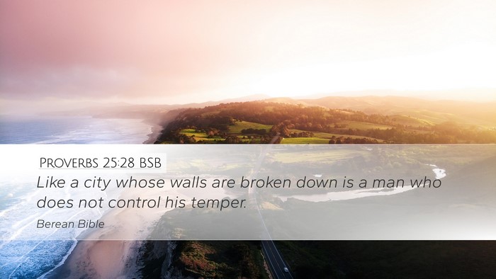 Proverbs 25:28 BSB Bible Verse Image