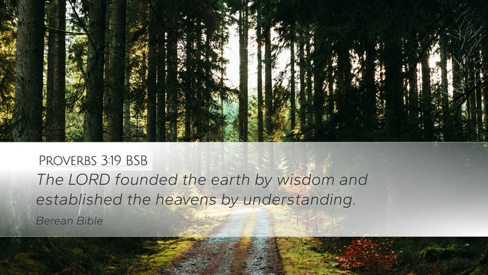 Proverbs 3:19 BSB Bible Verse Image