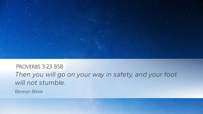 Proverbs 3:23 BSB Bible Verse Image