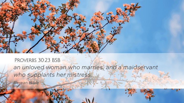 Proverbs 30:23 BSB Desktop Wallpaper - an unloved woman who marries, and a maidservant - Desktop Bible Verse Wallpaper