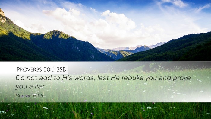 Proverbs 30:6 BSB Bible Verse Image
