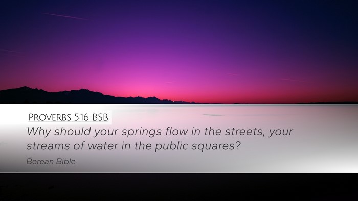 Proverbs 5:16 BSB Desktop Wallpaper - Why should your springs flow in the streets, your - Desktop Bible Verse Wallpaper