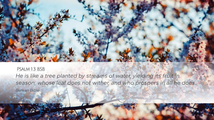 Psalm 1:3 BSB Bible Verse Image