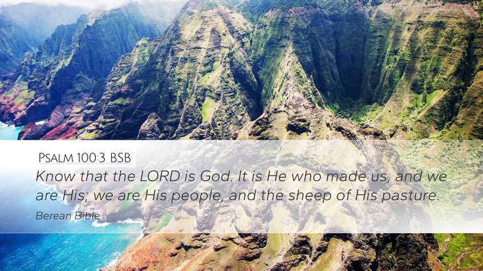 Psalm 100:3 BSB Bible Verse Image