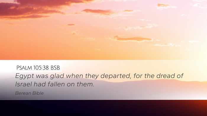 Psalm 105:38 BSB Desktop Wallpaper - Egypt was glad when they departed, for the dread - Desktop Bible Verse Wallpaper