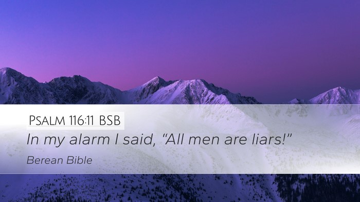 Psalm 116:11 BSB Desktop Wallpaper - In my alarm I said, “All men are - Desktop Bible Verse Wallpaper