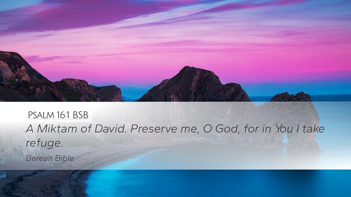Psalm 16:1 BSB Bible Verse Image