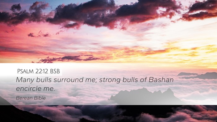 Psalm 22:12 BSB Bible Verse Image