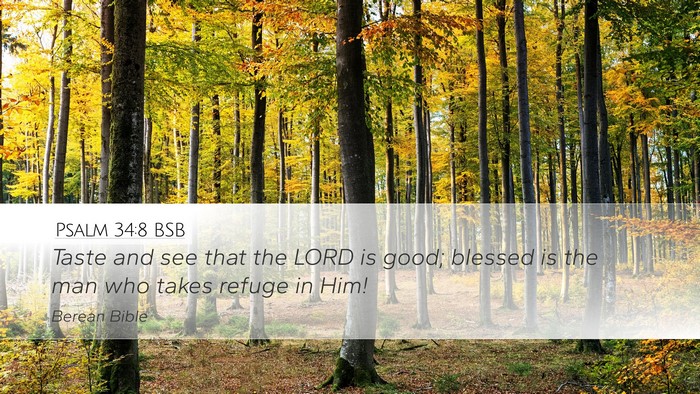 Psalm 34:8 BSB Bible Verse Image