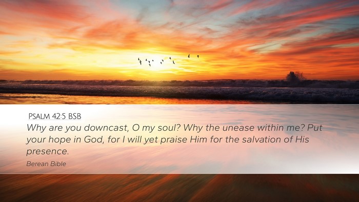 Psalm 42:5 BSB Desktop Wallpaper - Why are you downcast, O my soul? Why the unease - Desktop Bible Verse Wallpaper