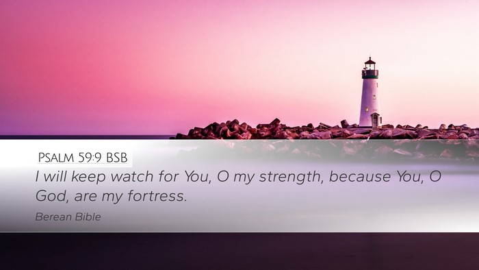 Psalm 59:9 BSB Desktop Wallpaper - I will keep watch for You, O my strength, because - Desktop Bible Verse Wallpaper