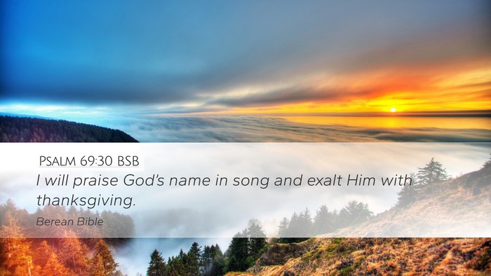 Psalm 69:30 BSB Bible Verse Image