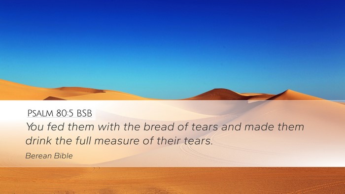 Psalm 80:5 BSB Desktop Wallpaper - You fed them with the bread of tears and made - Desktop Bible Verse Wallpaper
