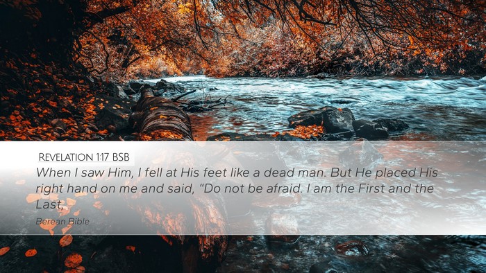 Revelation 1:17 BSB Bible Verse Image