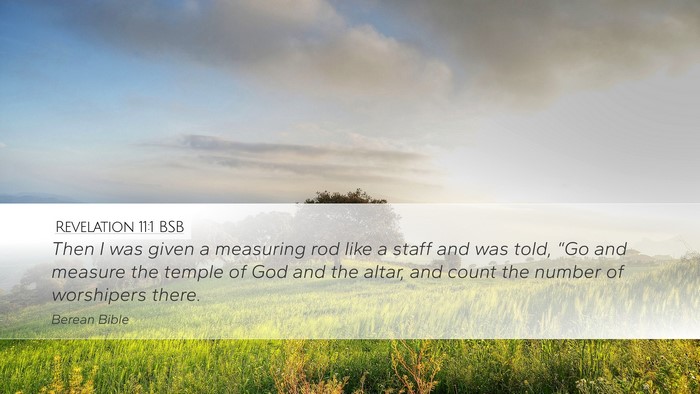 Revelation 11:1 BSB Bible Verse Image
