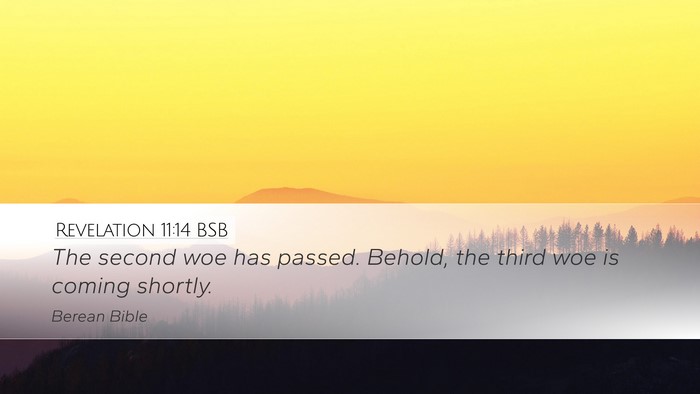 Revelation 11:14 BSB Bible Verse Image