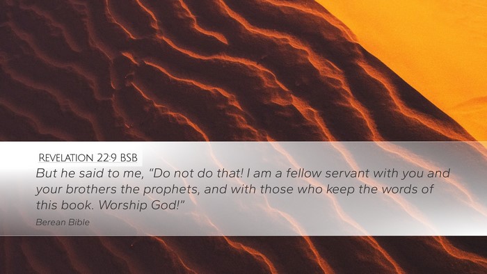 Revelation 22:9 BSB Bible Verse Image