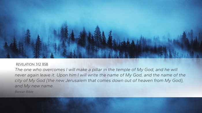Revelation 3:12 BSB Bible Verse Image