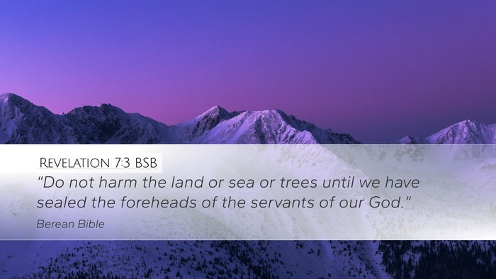 Revelation 7:3 BSB Bible Verse Image