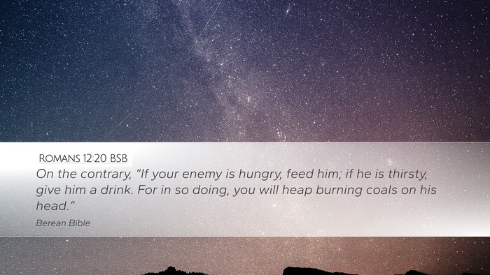 Romans 12:20 BSB Bible Verse Image