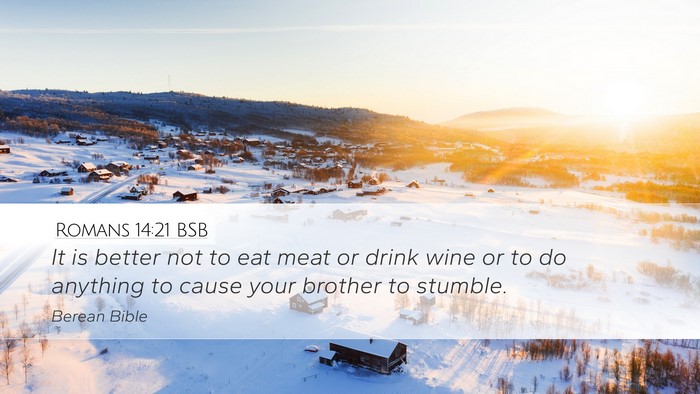 Romans 14:21 BSB Bible Verse Image