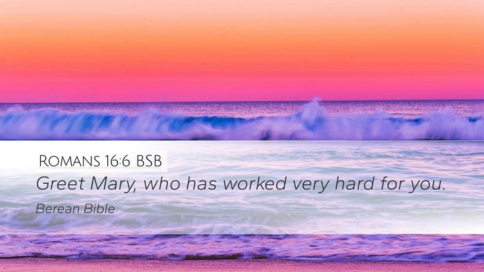 Romans 16:6 BSB Desktop Wallpaper - Greet Mary, who has worked very hard for - Desktop Bible Verse Wallpaper