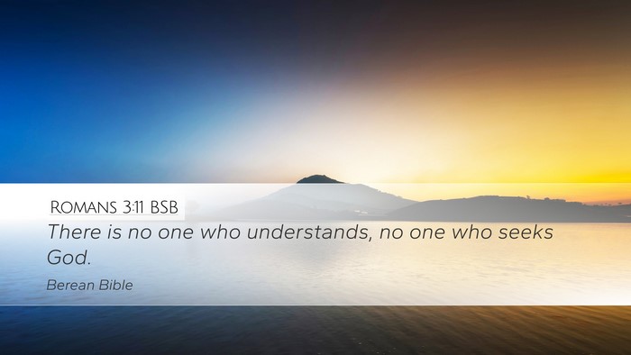 Romans 3:11 BSB Bible Verse Image