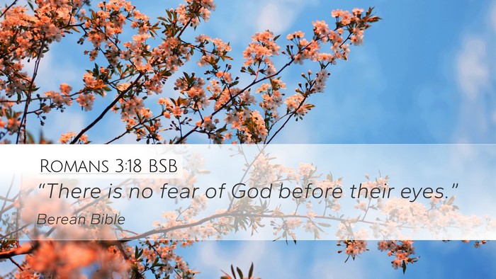 Romans 3:18 BSB Bible Verse Image