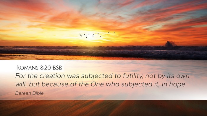 Romans 8:20 BSB Bible Verse Image