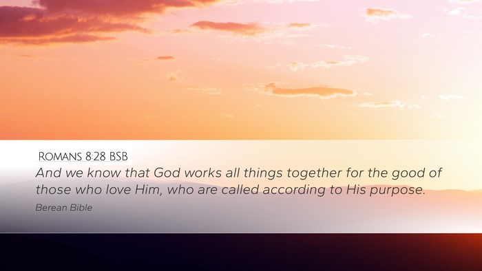 Romans 8:28 BSB Bible Verse Image