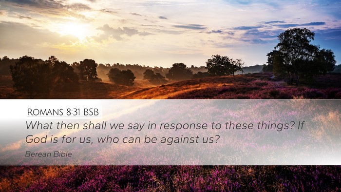 Romans 8:31 BSB Bible Verse Image