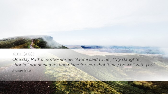 Ruth 3:1 BSB Desktop Wallpaper - One day Ruth’s mother-in-law Naomi said to her, - Desktop Bible Verse Wallpaper
