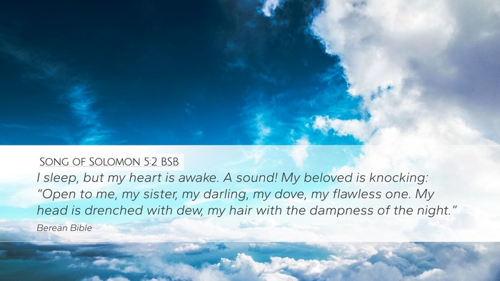 Song of Solomon 5:2 BSB Bible Verse Image