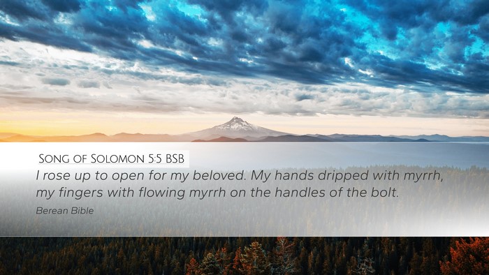 Song of Solomon 5:5 BSB Bible Verse Image
