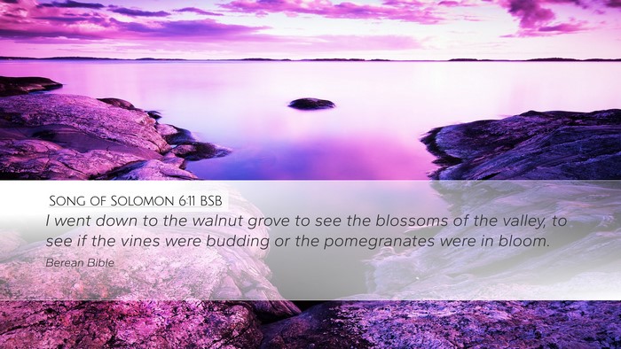 Song of Solomon 6:11 BSB Bible Verse Image