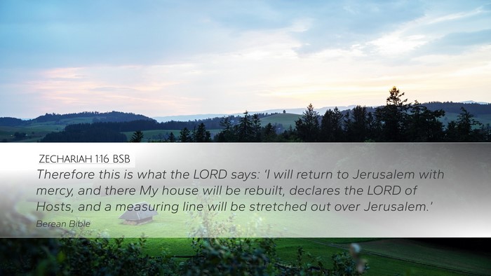 Zechariah 1:16 BSB Bible Verse Image