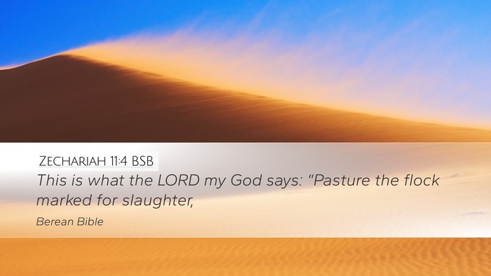Zechariah 11:4 BSB Bible Verse Image